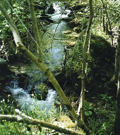 Camping * Pardines
