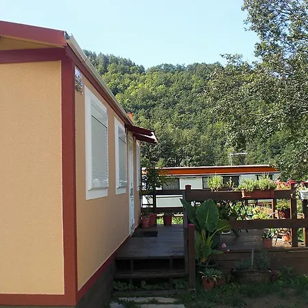 Camping *